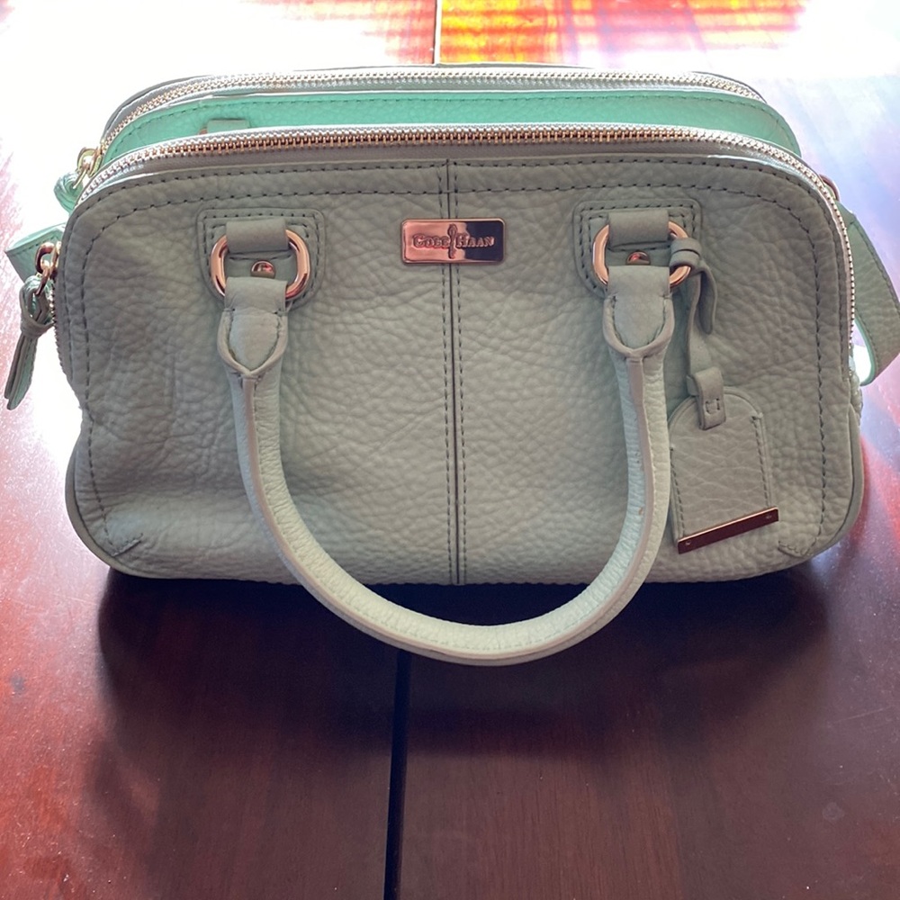 Pastel light green medium purse